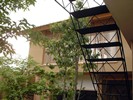 版築の壁と屋根緑化したギャラリー併用住宅写真5